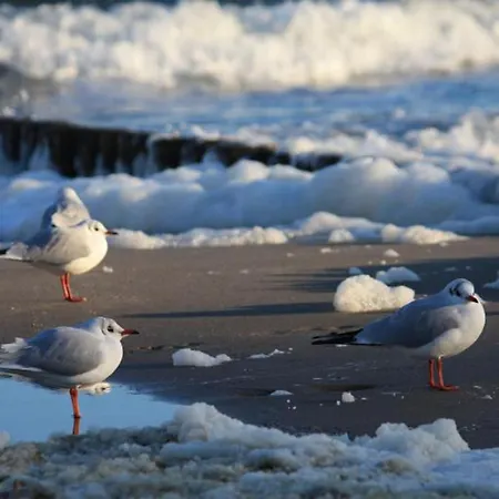 Apartamento Haus Am Weststrand